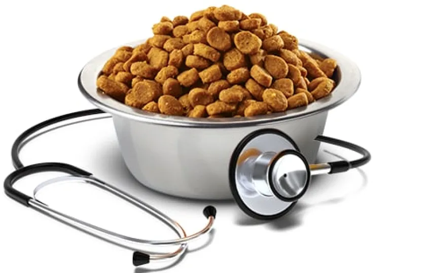 Vet Life Alimentación Medicada^Dog Mini Renal 2kg