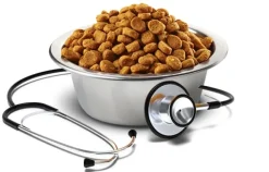 Vet Life Alimentación Medicada^Dog Ultra Hypo 10kg