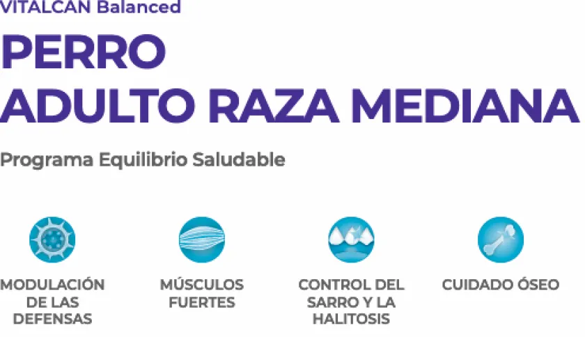 VitalCan Adultos (1 A 7 Años)^Perro Adulto Raza Grande 15kg