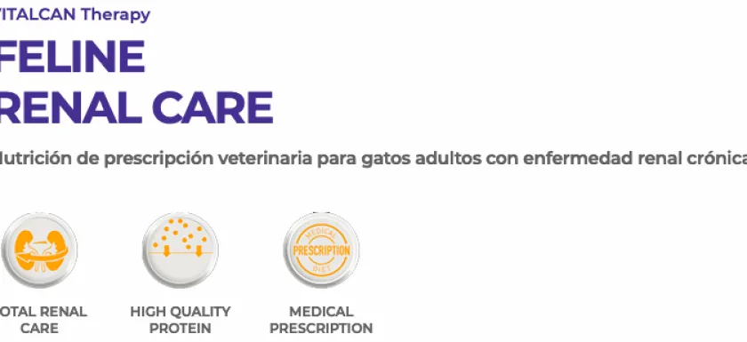 VitalCan Alimentación Medicada^Therapy Felino Renal 2kg