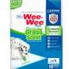 Fit Formula Adiestramiento | Senior (+7 Años)^wee-wee four paws grass scent pads 10 un