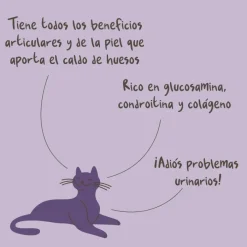 Winga Vitaminas Y Suplementos | Húmedos^Caldo de Huesos para Gatos 180gr