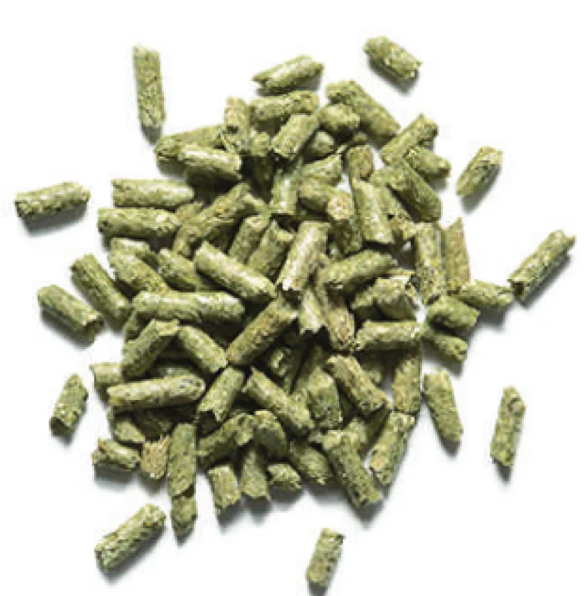 Zupreem Conejos^Conejo Timothy Naturals 2.26kg